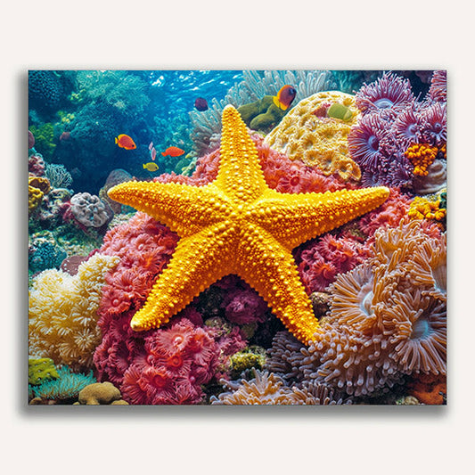 Starfish on a Coral Reef - ColourCrash